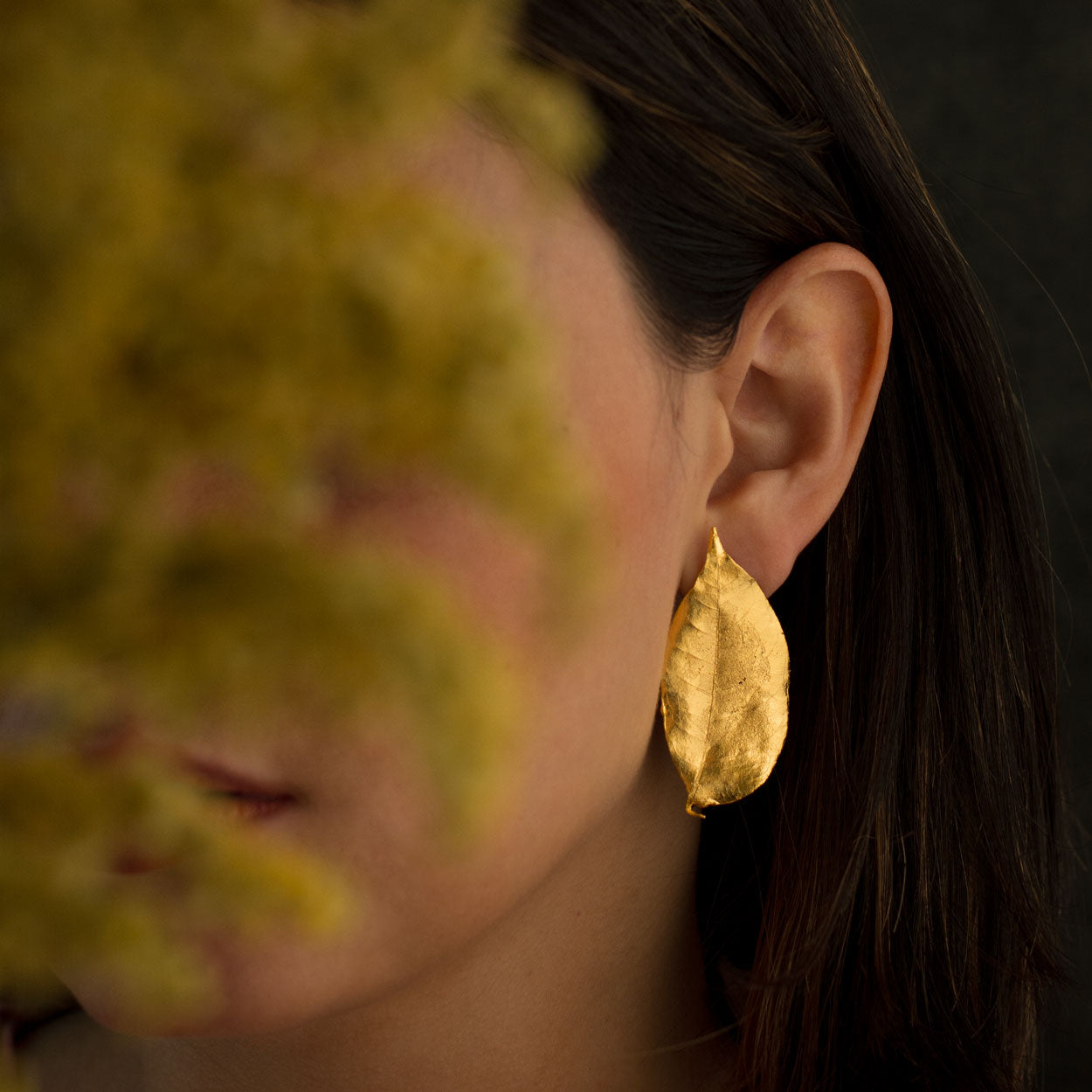 Aretes Topo Hoja Cúcuta en bronce bañado en oro de 24k, destacando la delicadeza y la forma única de las hojas naturales