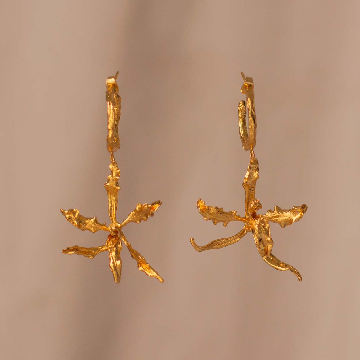 Aretes Candonga Orquídea Cyrtochilum Revolutum en bronce bañado en oro de 24k, destacando la belleza única de las orquídeas andinas inmortalizadas.