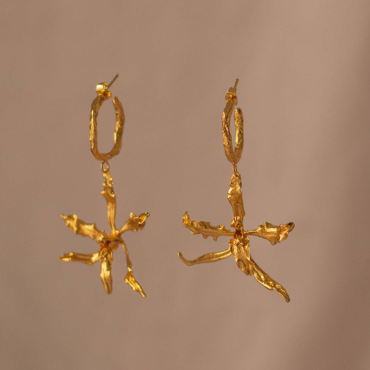 Aretes Candonga Orquídea Cyrtochilum Revolutum en bronce bañado en oro de 24k, destacando la belleza única de las orquídeas andinas inmortalizadas.