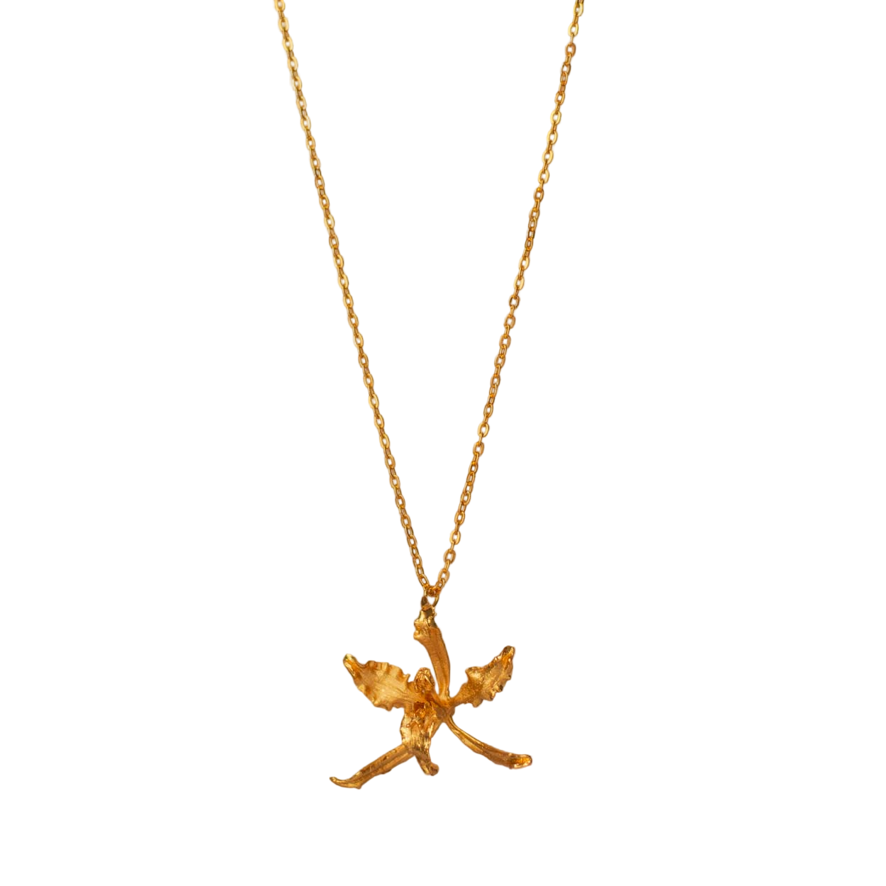 Collar Orquidea Cyrtochilum Revolutum