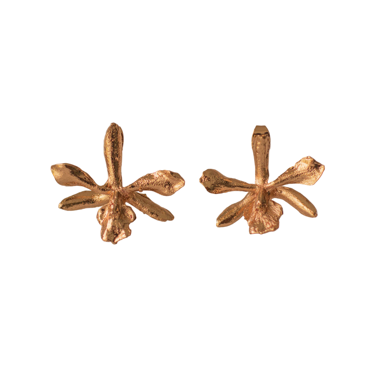 Aretes Topo Orquidea Prosthechea Sceptra