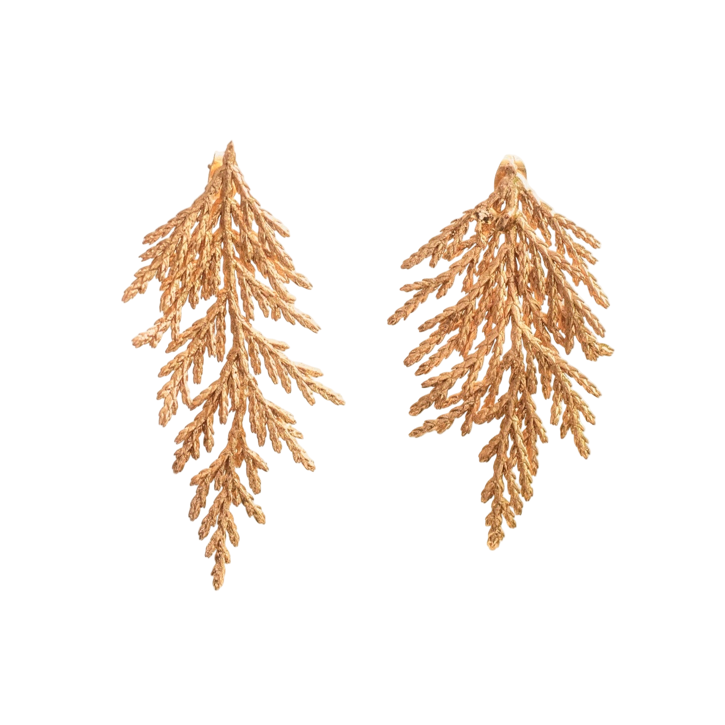 Aretes Hoja Pino Grande
