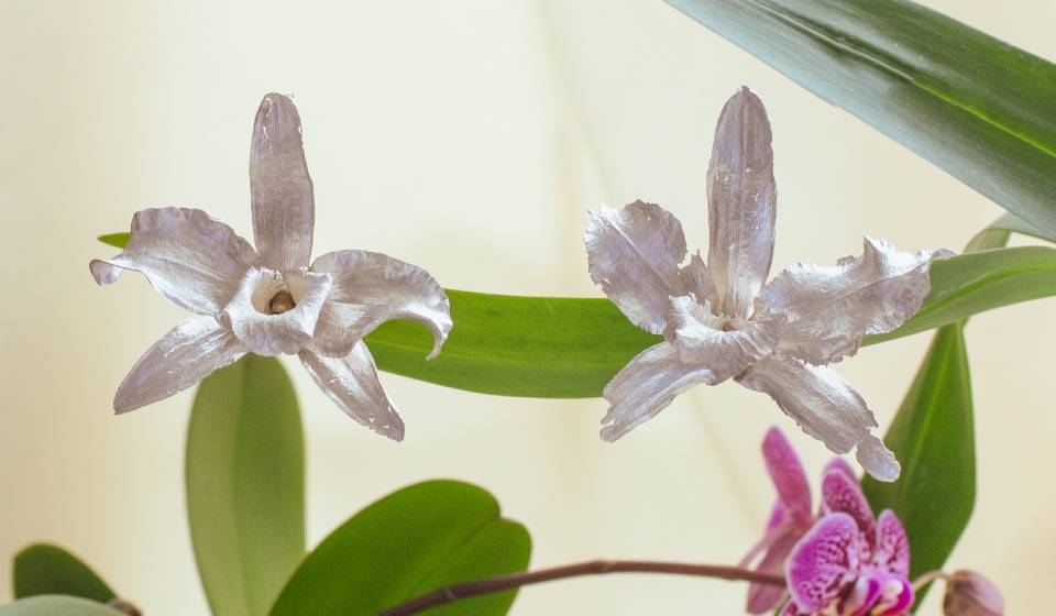 Razones para regalar joyas hechas con objetos naturales inmortalizados - Liz de la Cruz Handmade Jewelry