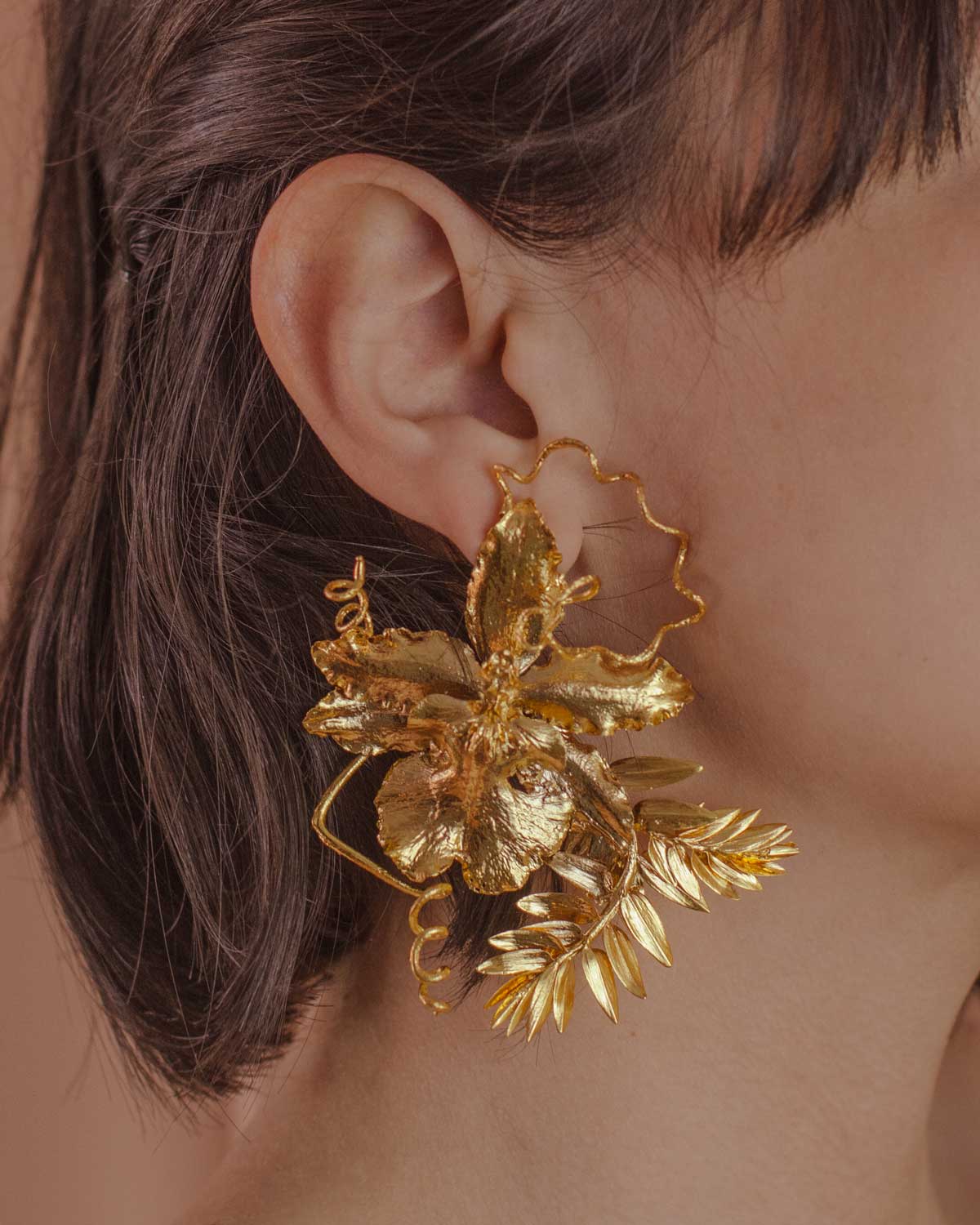 ORQUÍDEAS EN LA ETERNIDAD