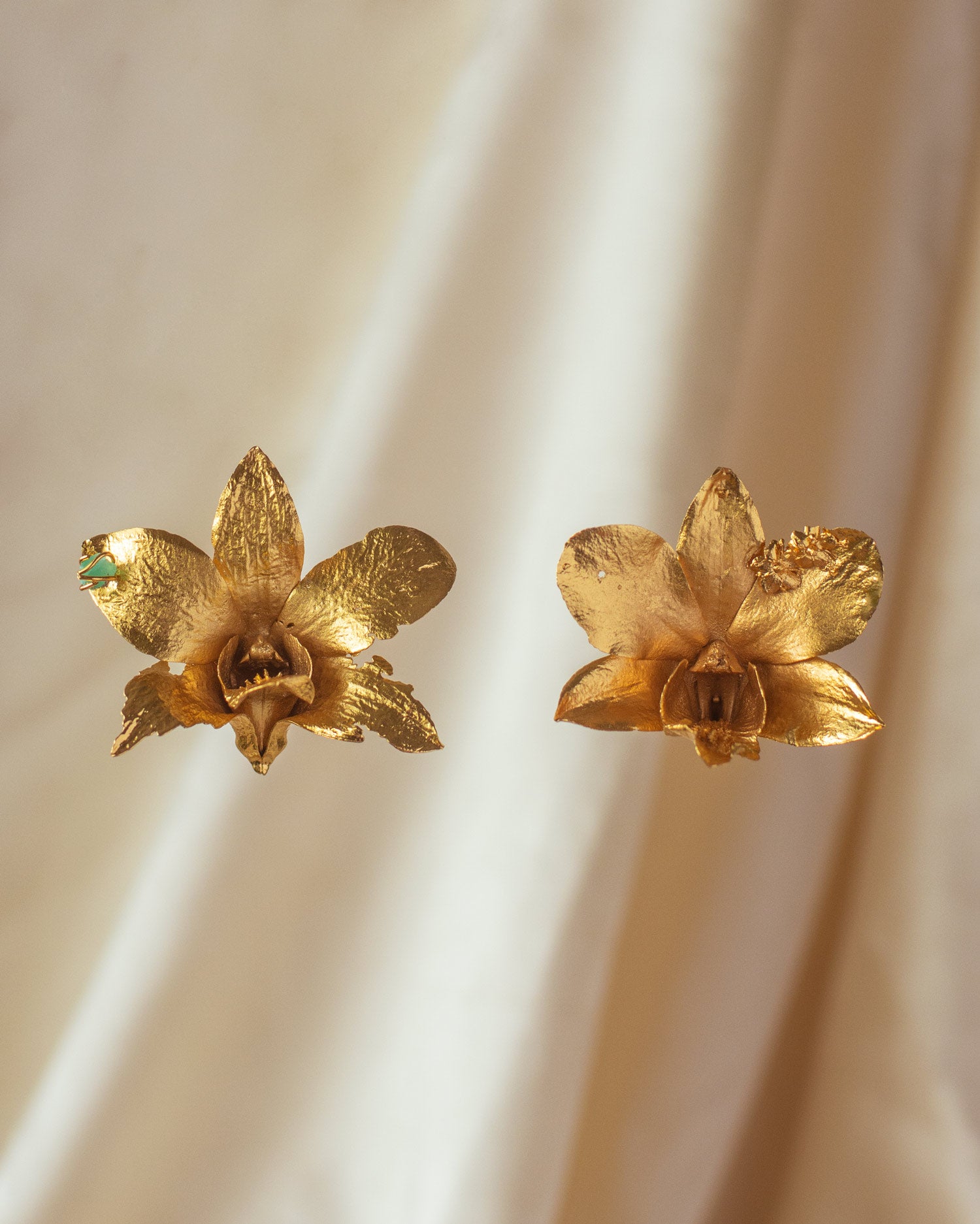ORQUIDEAS