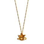 Gargantilla Orquidea Maxilaria