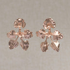 Aretes Orquidea Cyrtochilum Halteratum