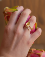 Anillo Ramita Anturio Flor Suculenta