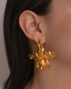 Aretes Orquidea Crispum Sauco Esmeralda