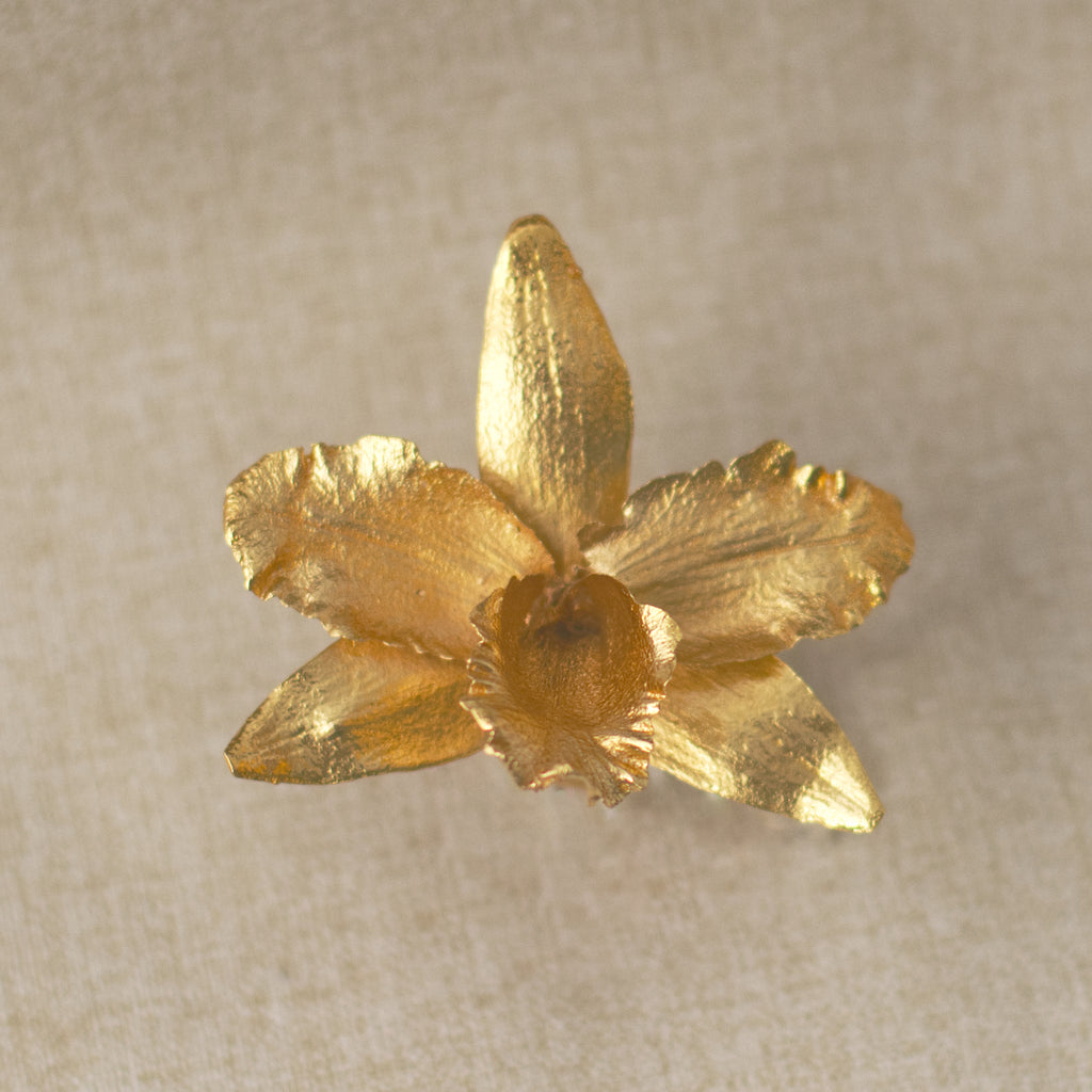 Anillo Orquídea Cattleya, Reina del Bosque