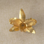Anillo Orquídea Cattleya, Reina del Bosque