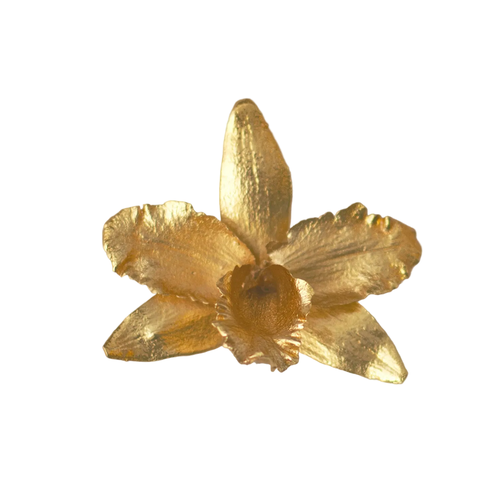 Anillo Orquídea Cattleya, Reina del Bosque