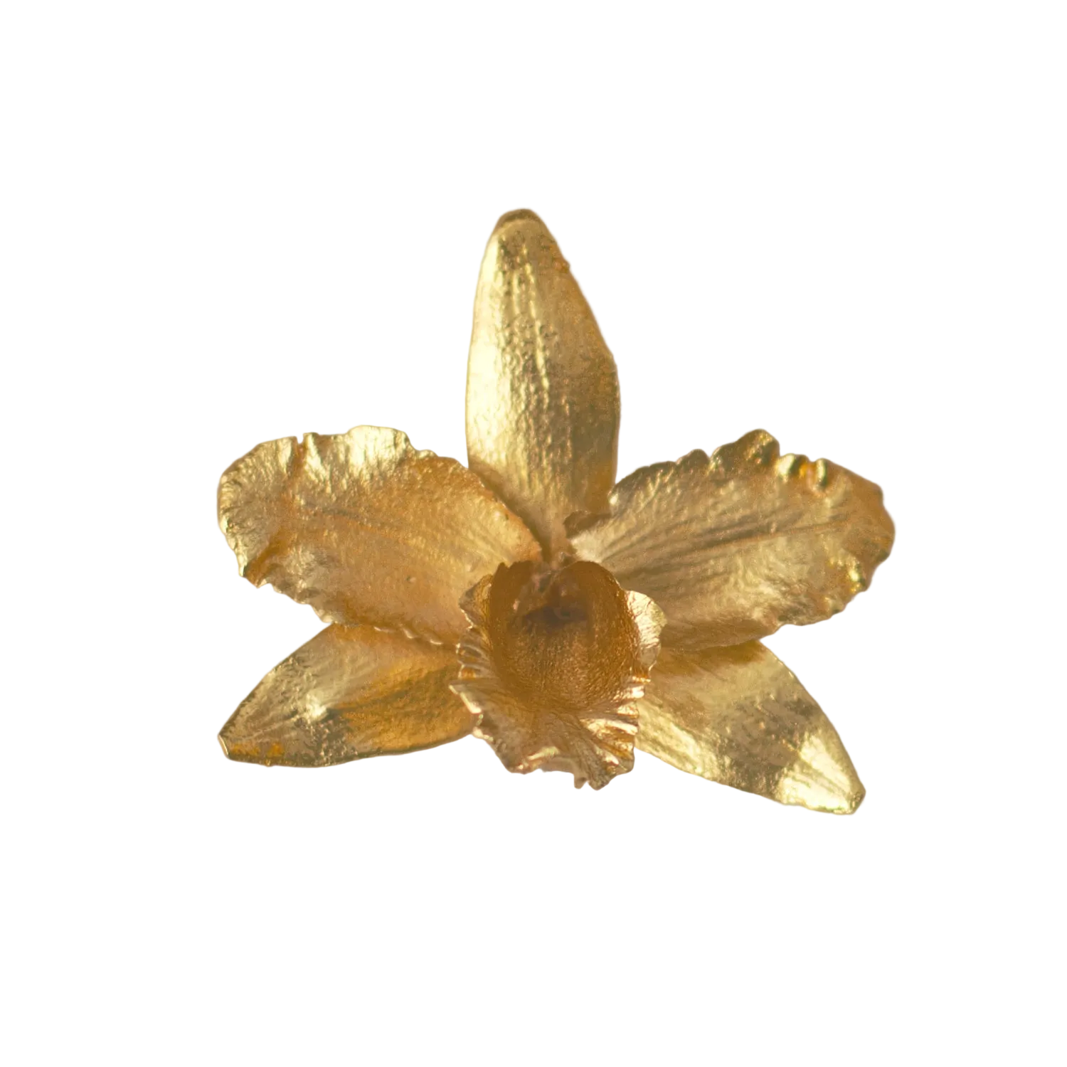 Anillo Orquídea Cattleya, Reina del Bosque