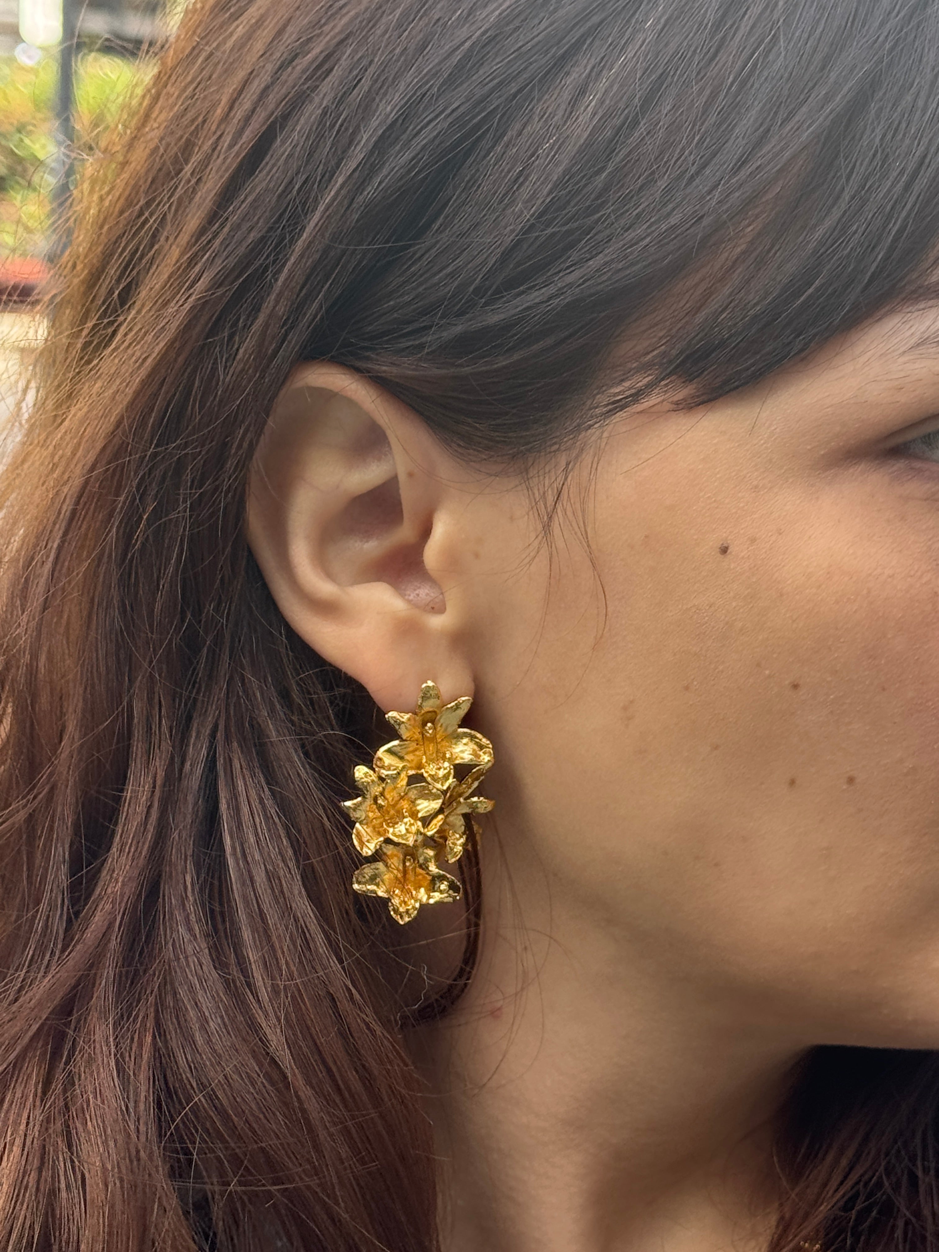 Aretes Multi Orquidea Maxilaria