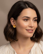 Aretes Topo Hiedra