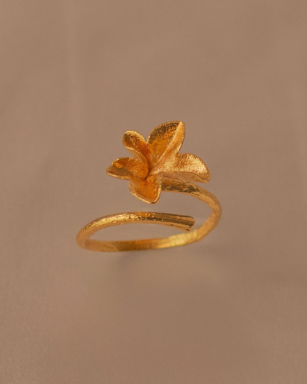 Anillo Hiedra Mediano