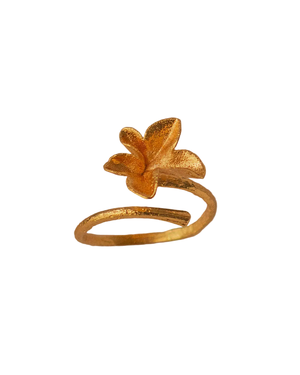 Anillo Hiedra Mediano