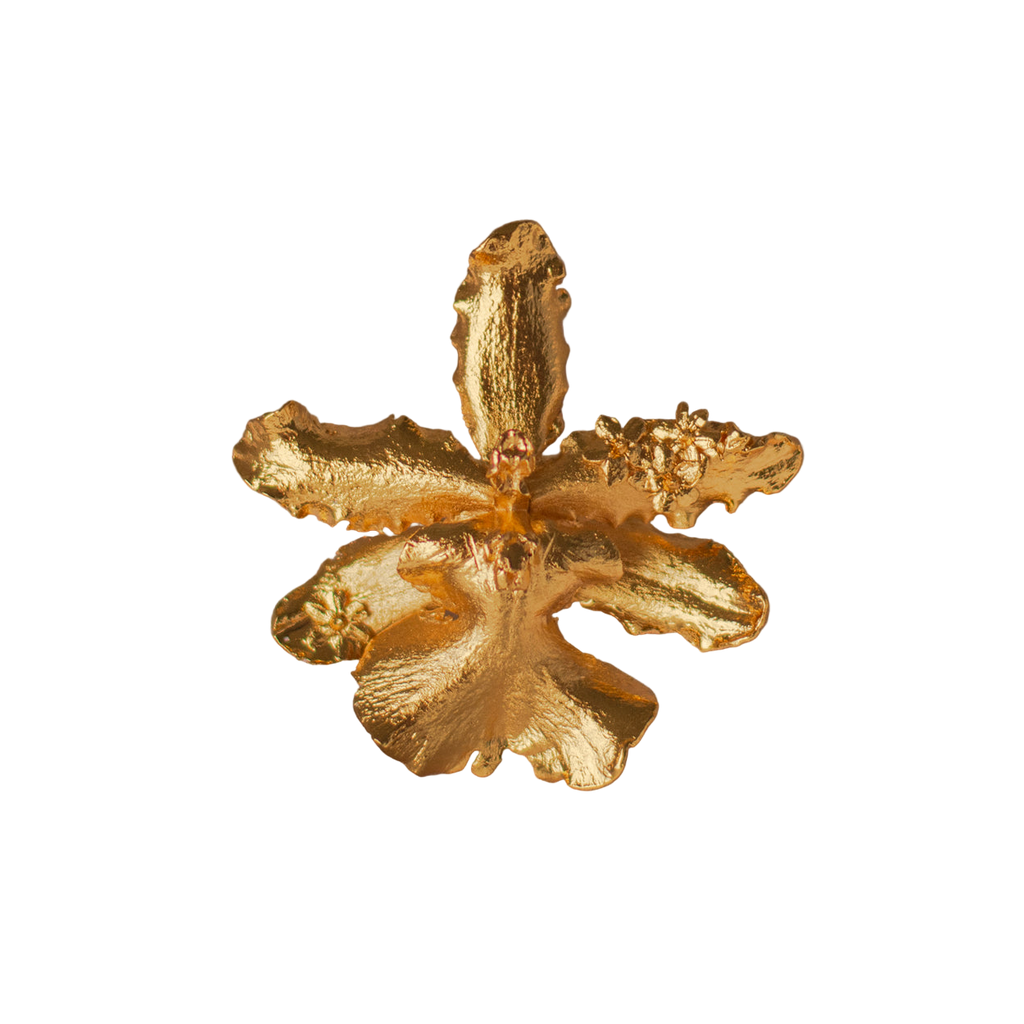 Anillo Orquidea Odontoglossum Flor Sauco