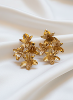 Aretes Multi Orquidea Maxilaria