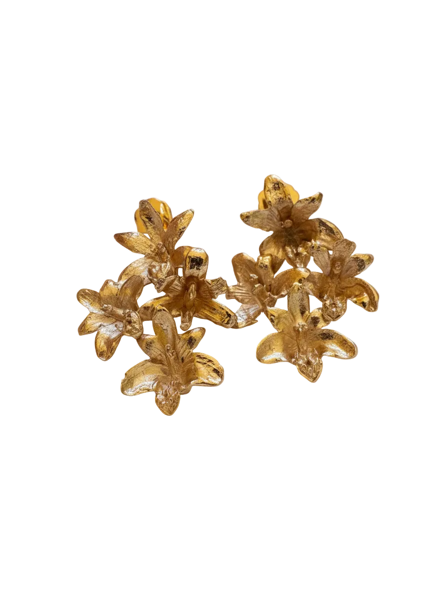 Aretes Multi Orquidea Maxilaria