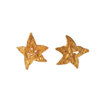 Aretes Topo Estrella Carambolo