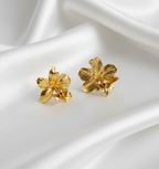 Aretes Topo Orquidea Epidendrum Radicans