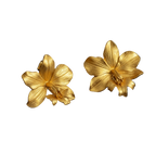 Aretes Topo Orquidea Epidendrum Radicans