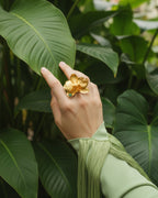 Anillo Orquidea Phalaenopsis Sauco Esmeralda