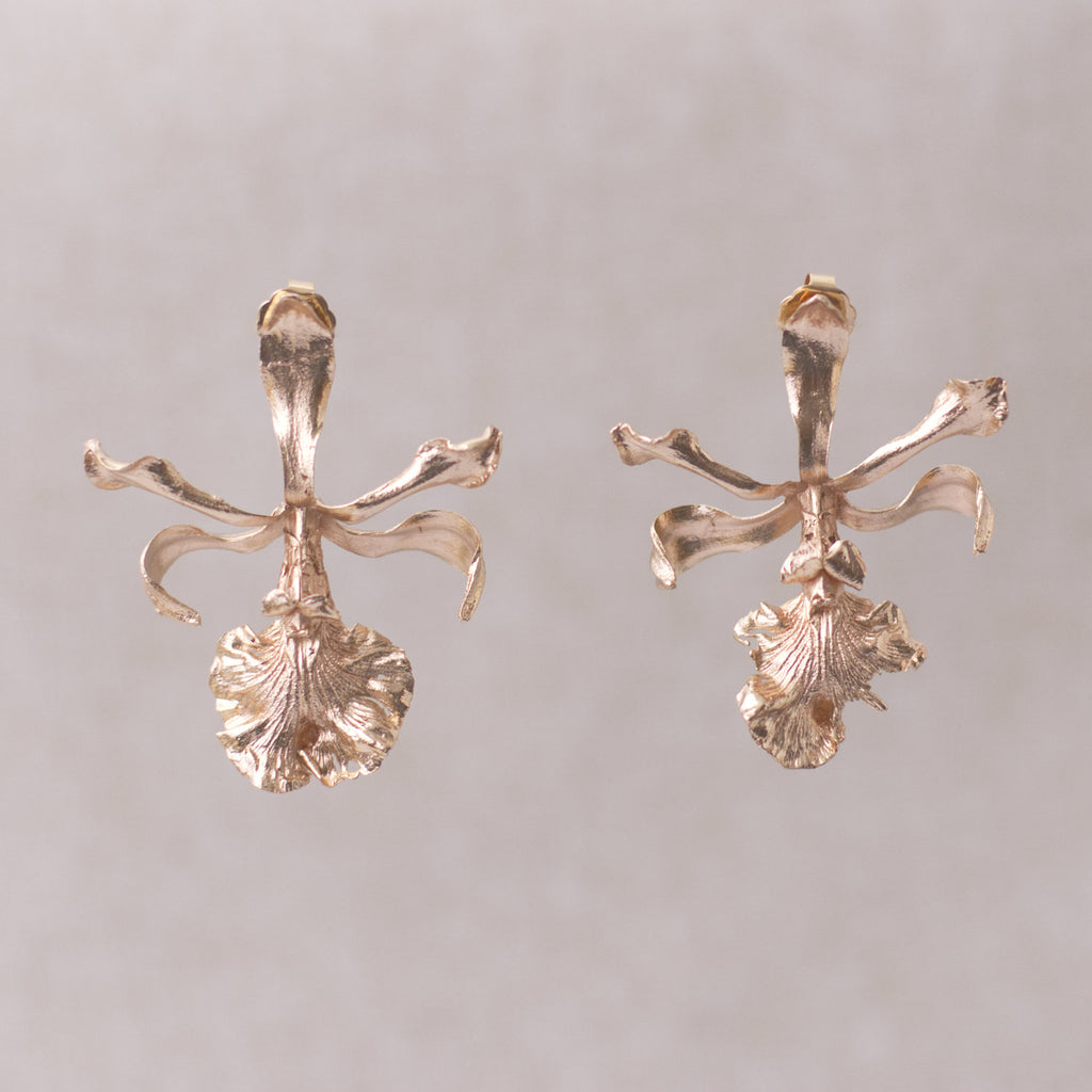 Aretes Topo Orquidea Encyclia Cordigera