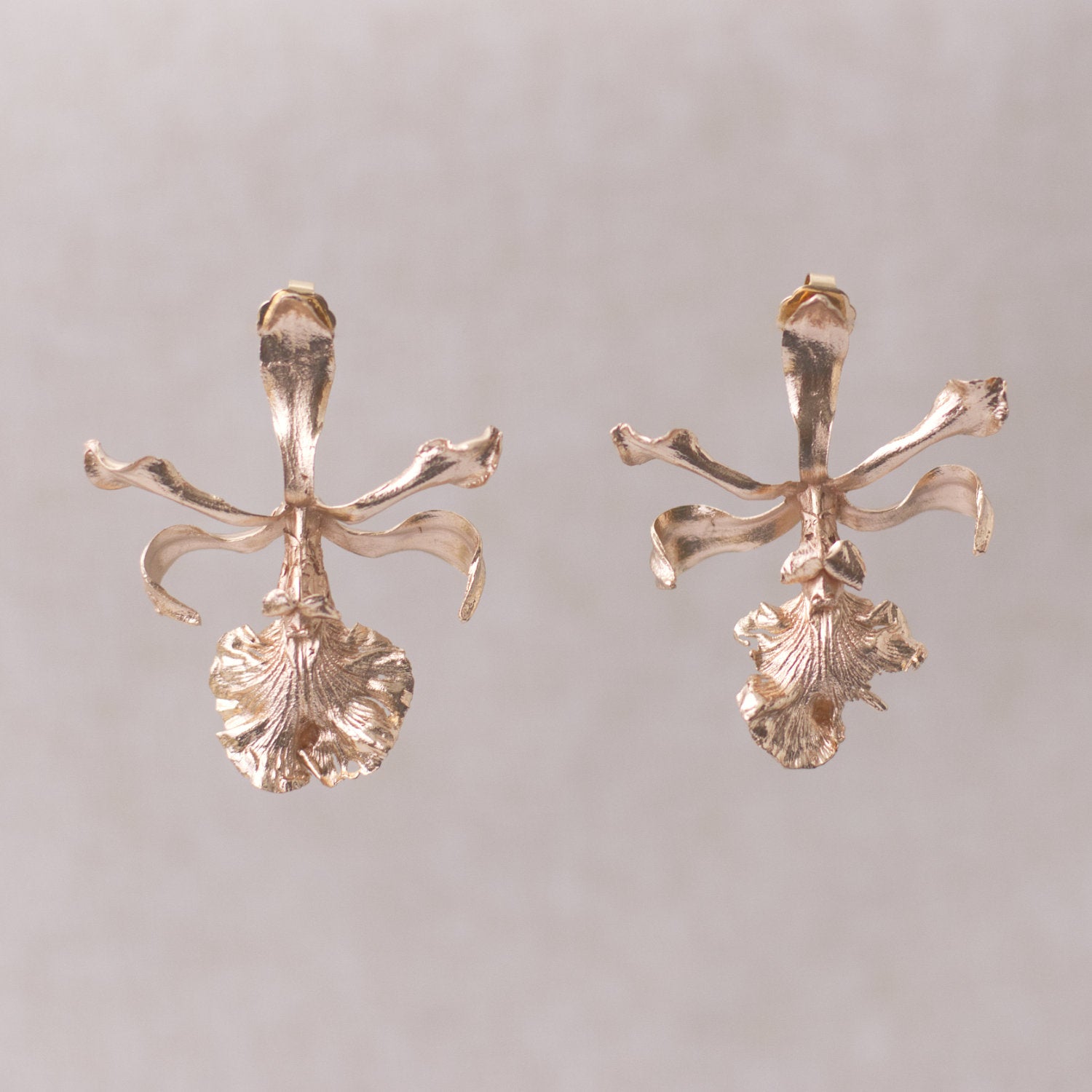Aretes Topo Orquidea Encyclia Cordigera