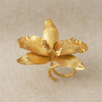Anillo Orquídea Cattleya, Reina del Bosque