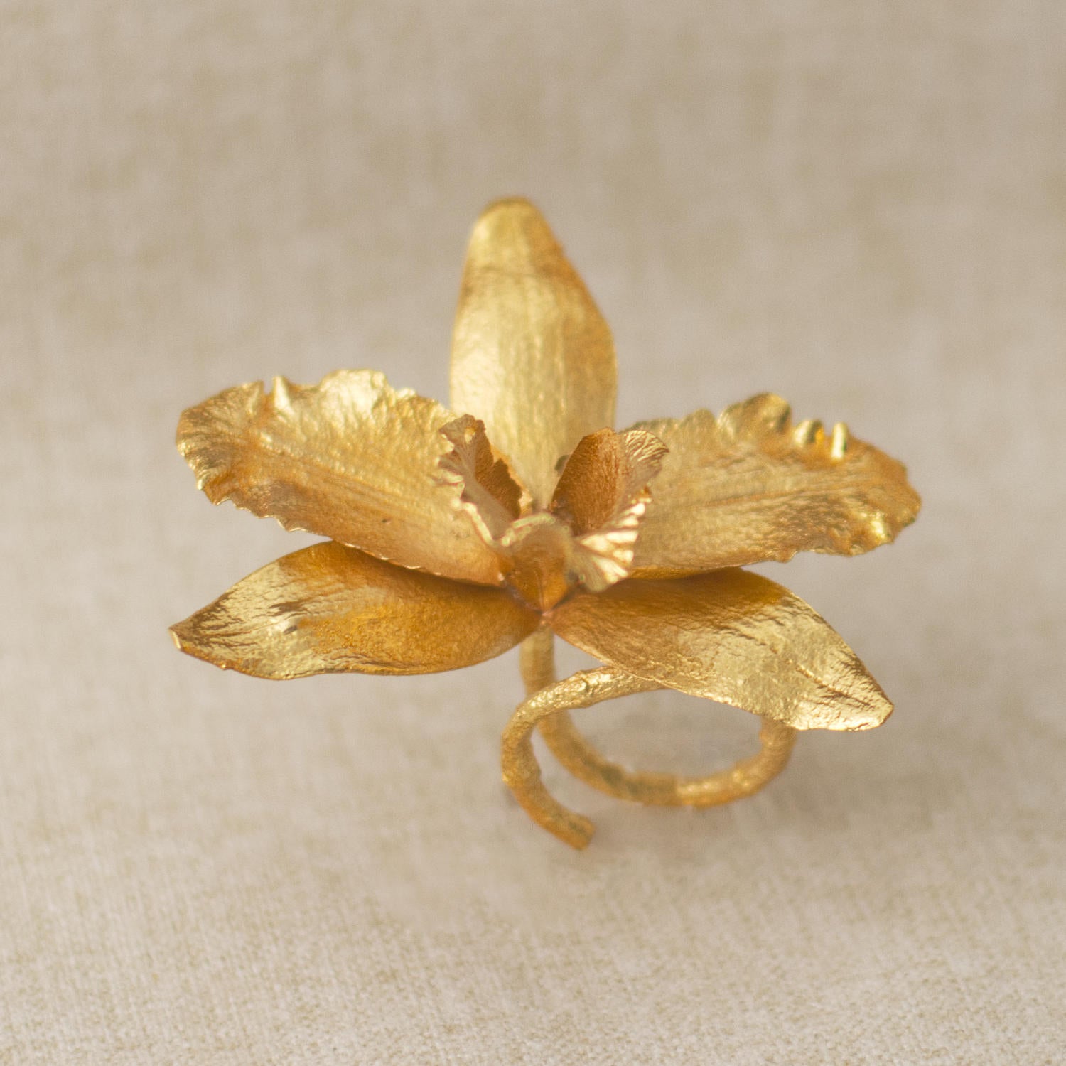 Anillo Orquídea Cattleya, Reina del Bosque