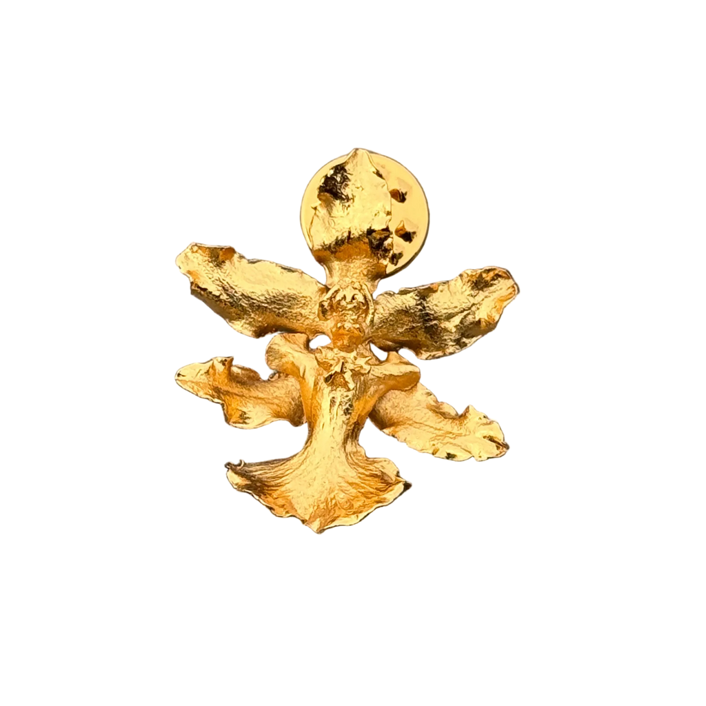 Broche Prendedor Orquidea Chocolate