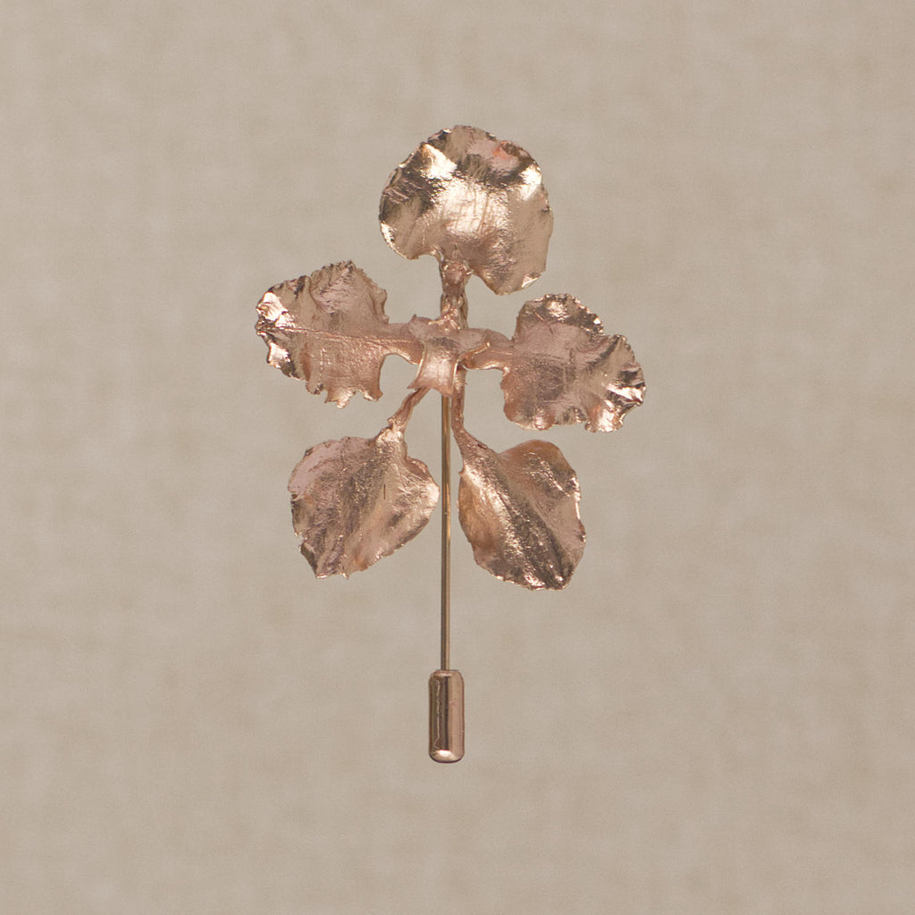 Broche Orquidea Cyrtochilum Halteratum