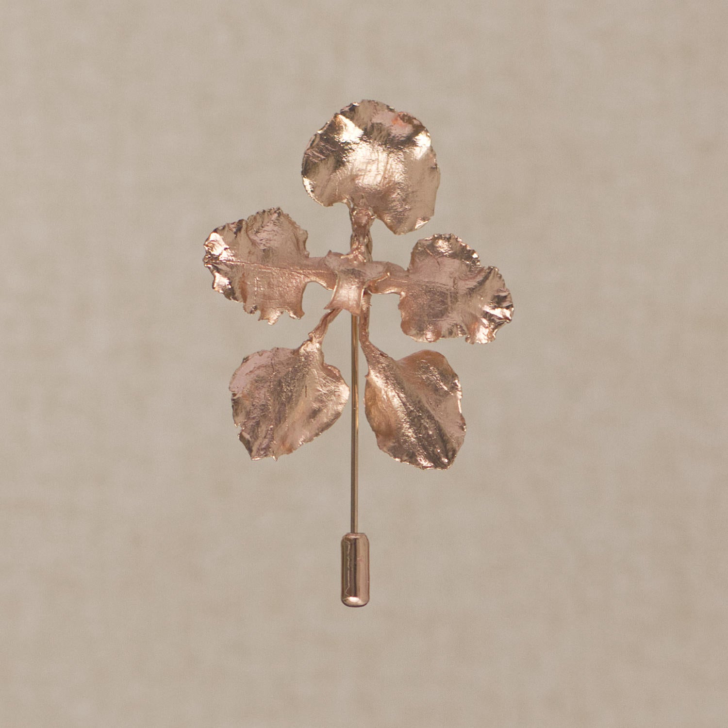 Broche Orquidea Cyrtochilum Halteratum