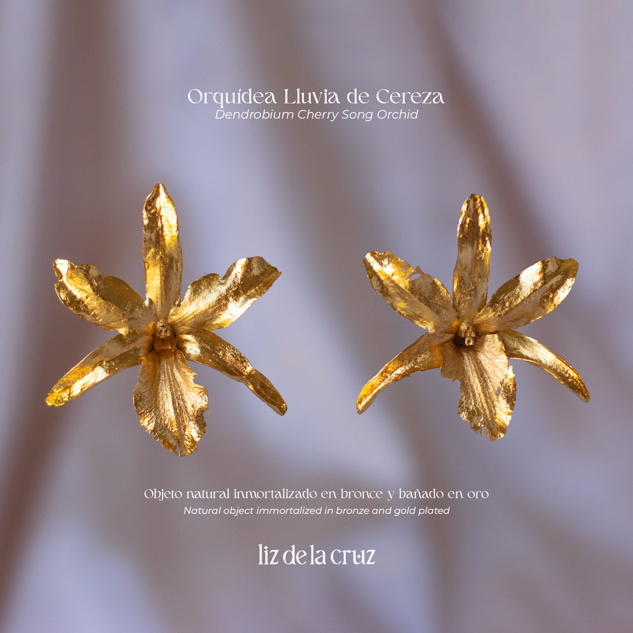 Aretes orquidea dendrobium lluvia de cereza natural inmortalizada en bronce y bañada en oro