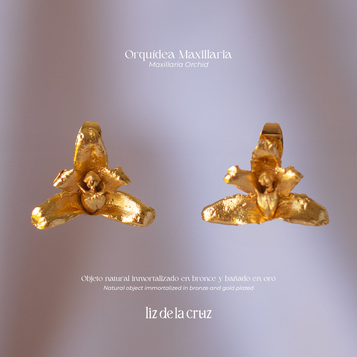 Aretes artesanales de Orquidea Maxilaria inmortalizada en bronce con baño en oro, mostrando detalles únicos de la flor