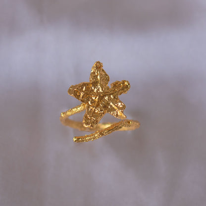 Anillo Estrella Carambolo