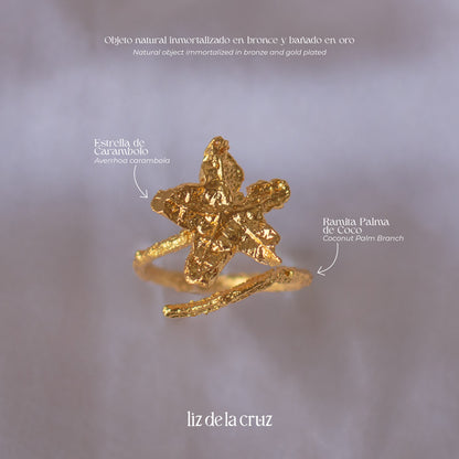 anillo-artesanal-estrella-carambolo-enchapado-en-oro-24-kilates-diseño-único-naturaleza-inmortalizada-joyería-sostenible