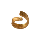 Anillo Corteza Palma