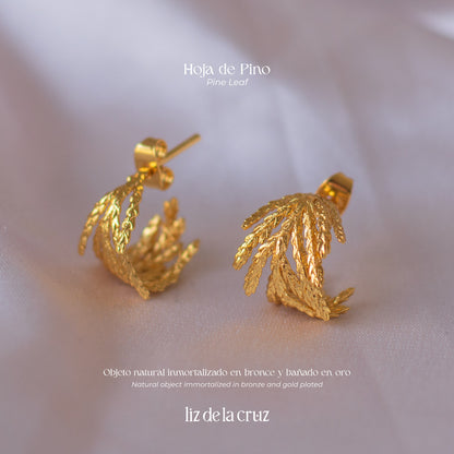 Aretes Aros Candongas Hoja Pino Pequeña en bronce bañado en oro de 24k, destacando la forma natural de las hojas de pino inmortalizadas