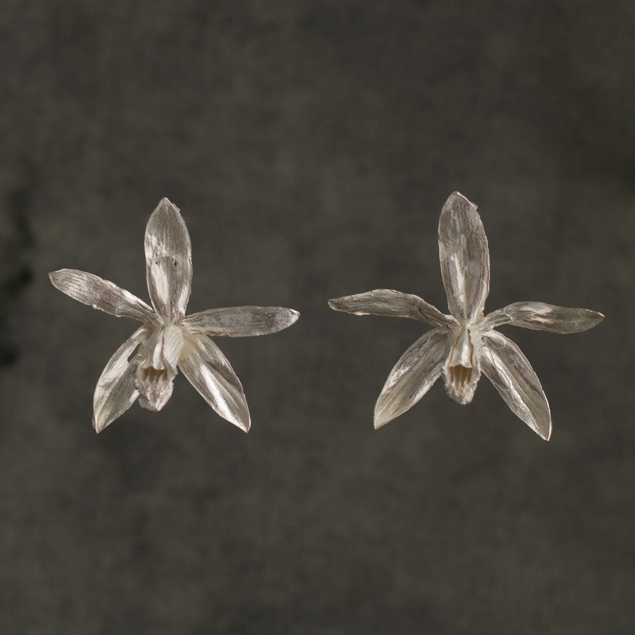 Aretes Orquídea Velo de Monja en plata ecológica 925, destacando la gracia y pureza de las flores naturales.