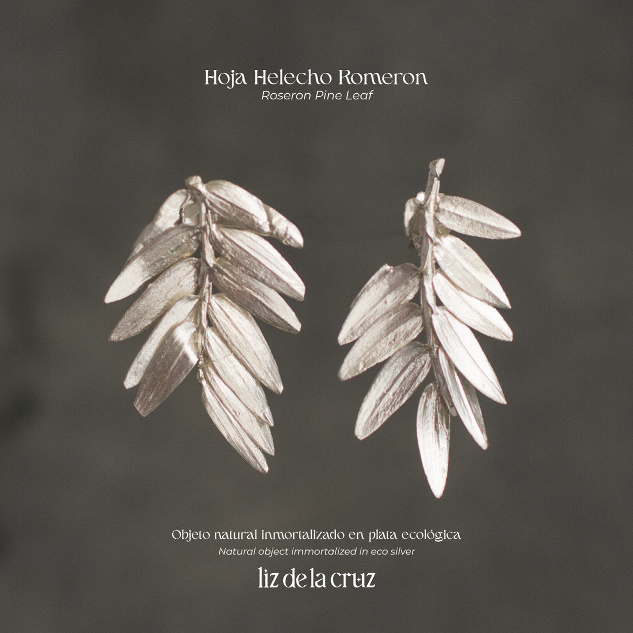 Aretes Helecho Romeron en plata ecológica, cada uno mostrando la forma distintiva de una hoja de pino romerón recolectada en Bogotá