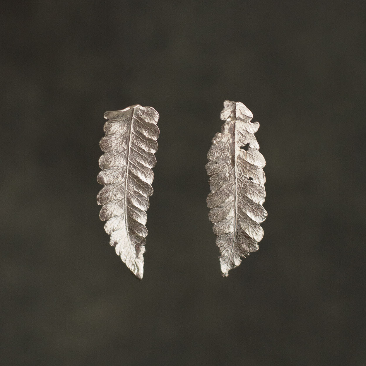 Aretes Topo Helecho Canela en plata ecológica, cada uno mostrando la elegancia única de una hoja natural de helecho de nuestro jardín