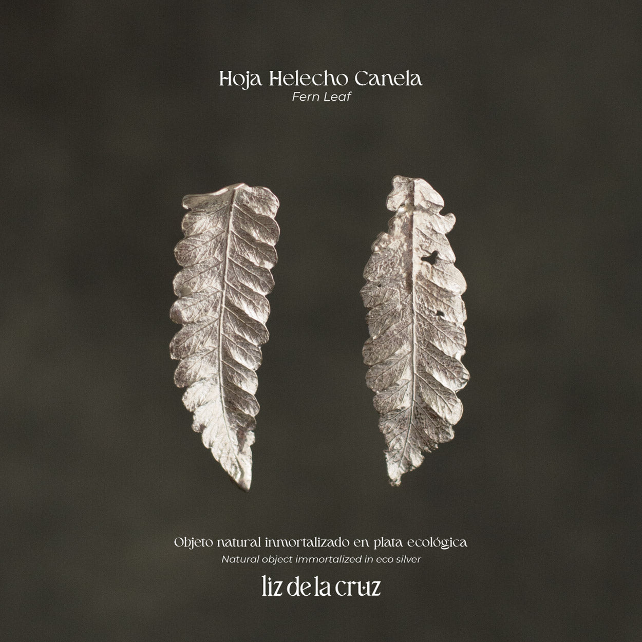 Aretes Topo Helecho Canela en plata ecológica, cada uno mostrando la elegancia única de una hoja natural de helecho de nuestro jardín