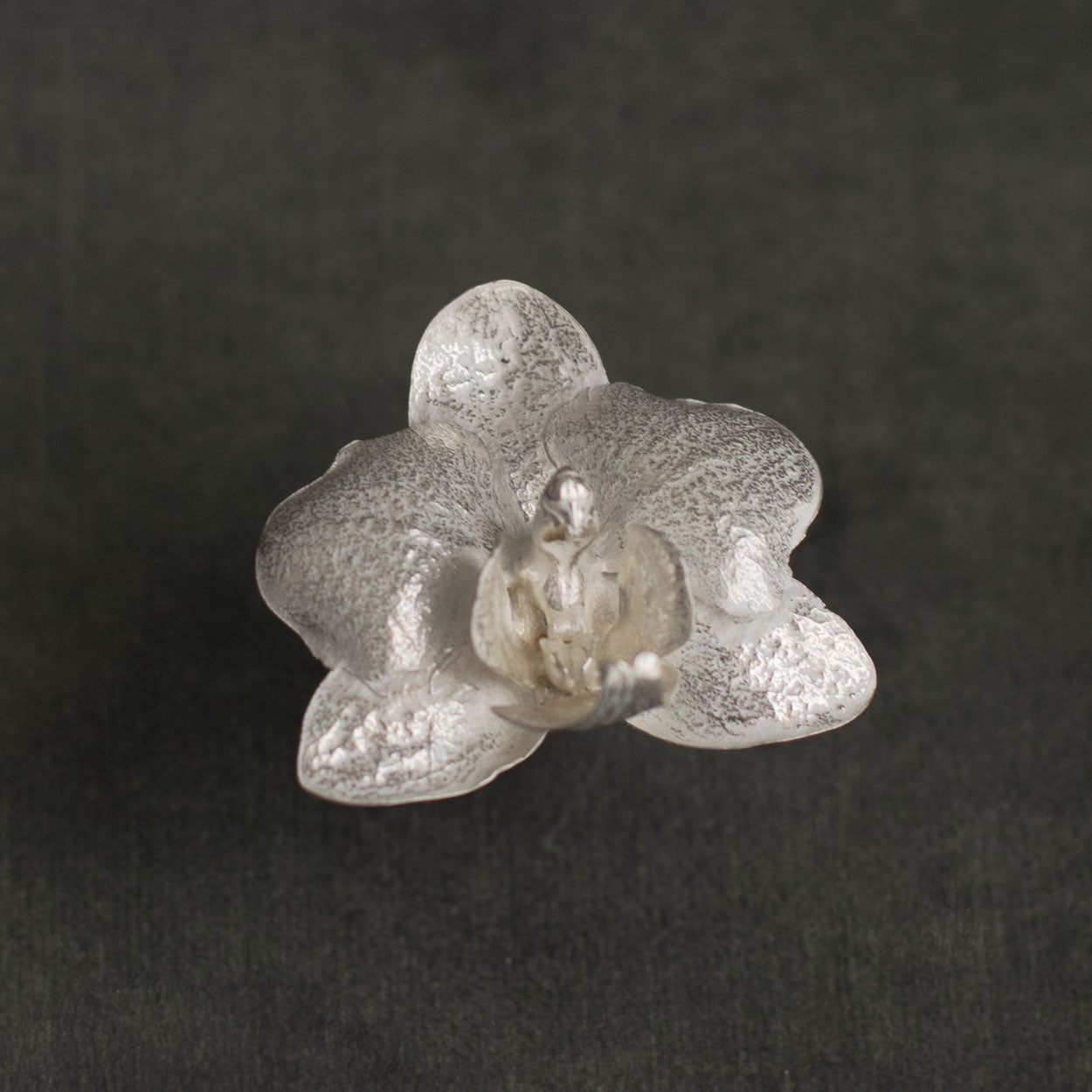 Anillo de orquídea phalaenopsis en plata ecológica, cada uno con una flor única del jardín de orquídeas, inmortalizada en metal resplandeciente