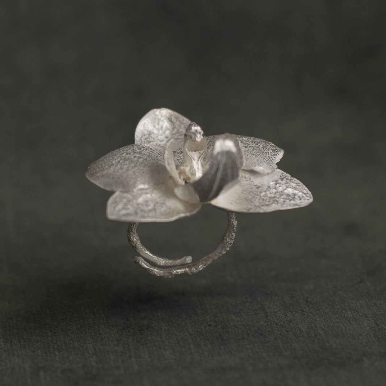 Anillo de orquídea phalaenopsis en plata ecológica, cada uno con una flor única del jardín de orquídeas, inmortalizada en metal resplandeciente