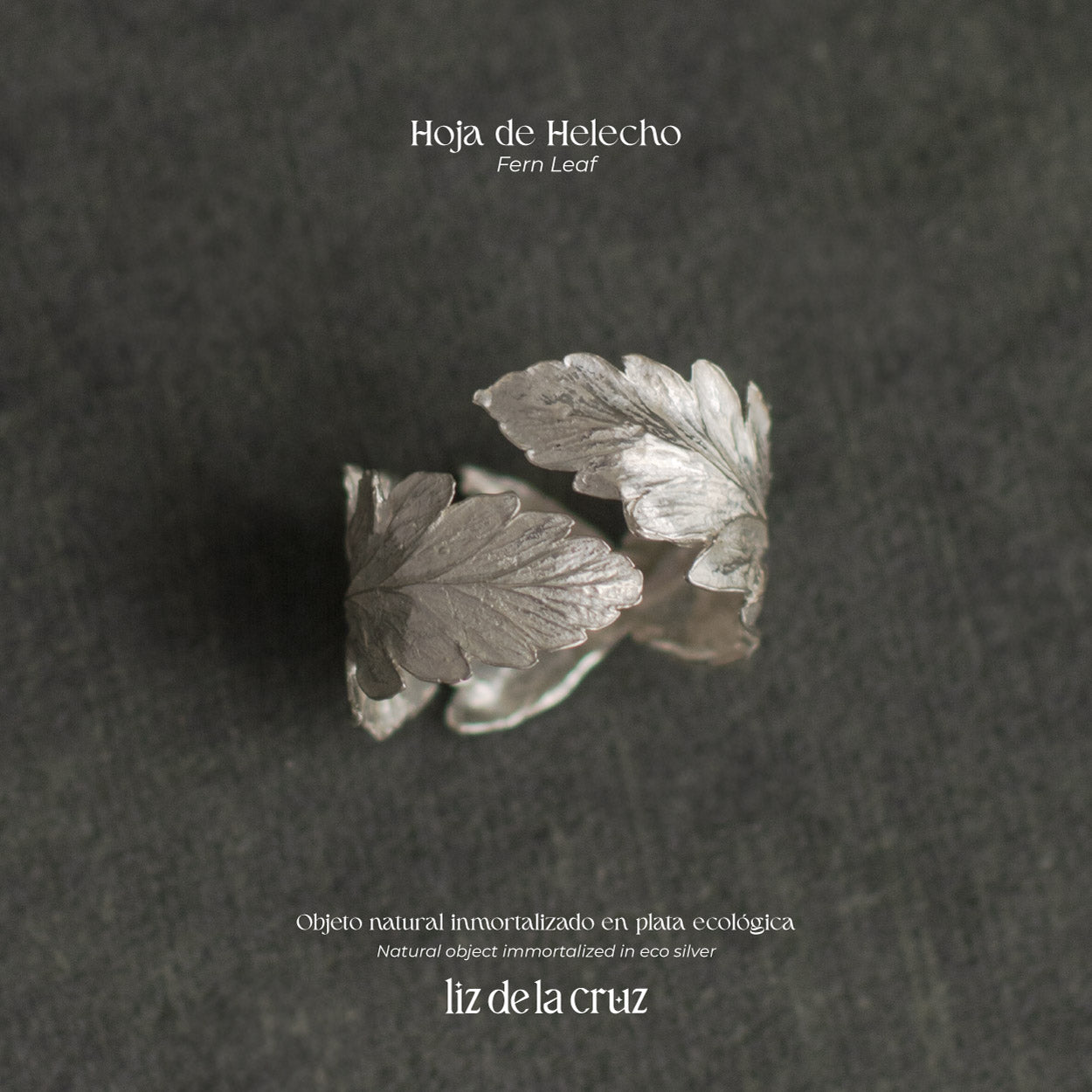 Anillo Entero Helecho en plata ecológica, cada uno mostrando la forma única de un helecho natural, inmortalizado en metal brillante