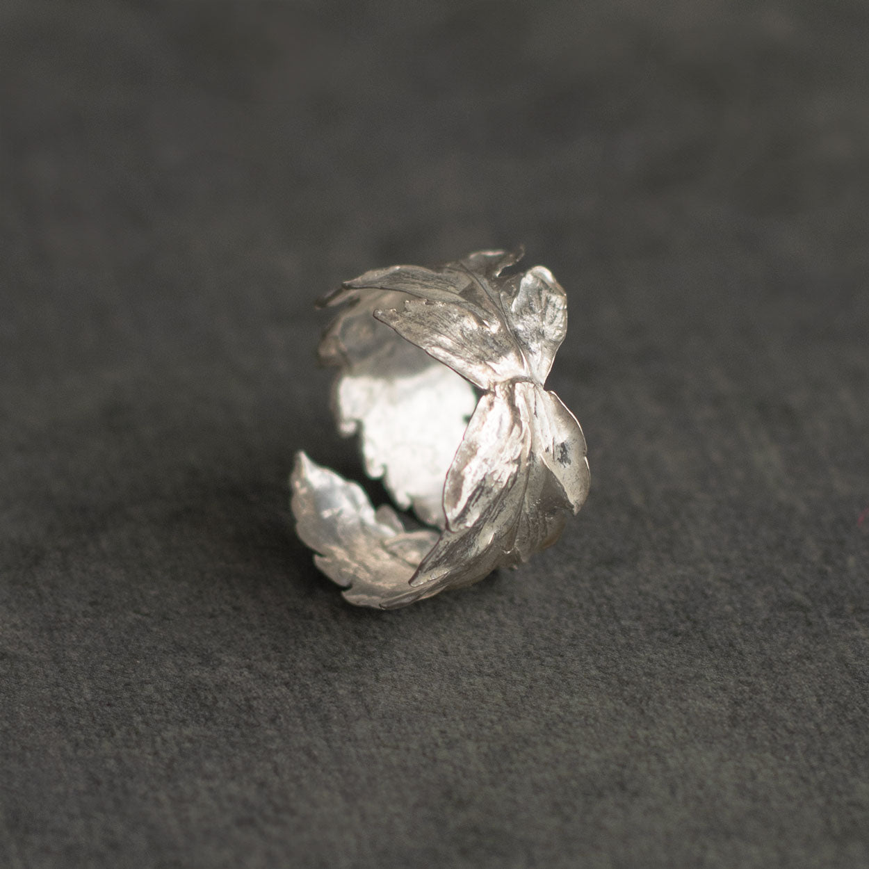 Anillo Entero Helecho en plata ecológica, cada uno mostrando la forma única de un helecho natural, inmortalizado en metal brillante