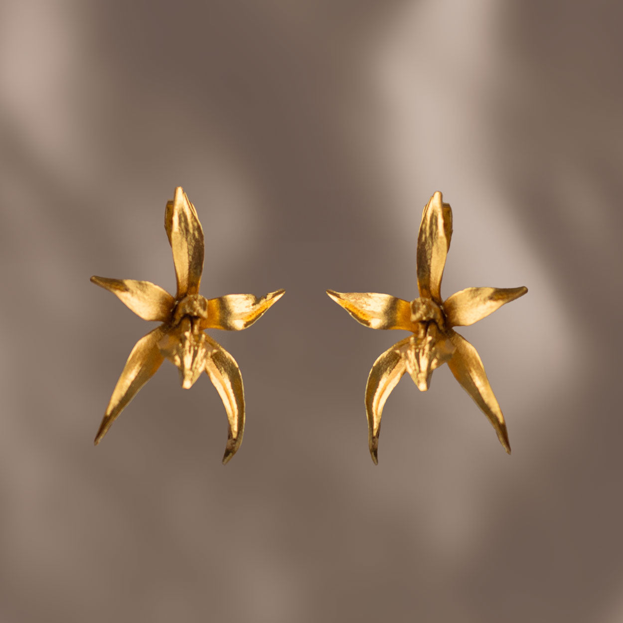 Aretes de Orquidea Epidendrum artesanales en bronce enchapado en oro de 24k, capturando la inigualable belleza de la flor natural